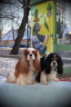 /album/fotogalerie-volny-cas/img-3788-jpg/